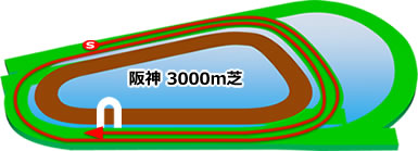 阪神3,000m